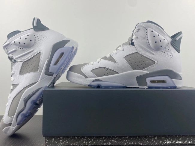 Reps LUCY 6 Air Cool Jordan CT8529-100 Grey 0728